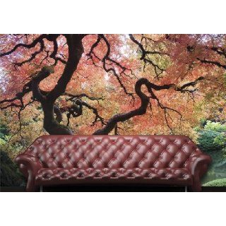 Fototapete Japanischer Garten, uralter Baum in Rosa und Gelb   Größe