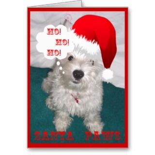 Pet Funny Christmas Quotes. QuotesGram