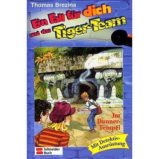 Ein Fall für dich und das Tiger Team, Bd.1, Im Donner Tempel 