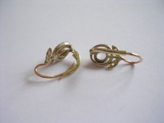 Prachtvolle sehr seltene Antike Jugendstil Ohrringe GOLD 585 Saphir