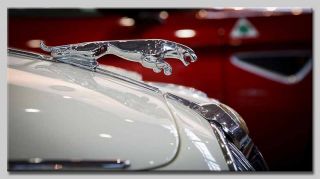 Leinwand Bilder Jaguar Kühlerfigur Luxus Weiss Oldtimer