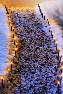 LED Leuchtstecker 20er Set mit Netzteil   Weihnachten Deko Garten