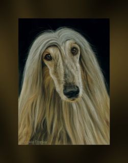Original Pastel painting Afghan Hound Afghane Windhund Sighthound dog