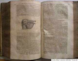 Samuel Bochart Hierozoicon Tiere der Bibel 1675 Pergament Holzschnitte