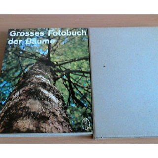 Grosses Fotobuch der Bäume Boudewijn Karel Boom, Hendrik