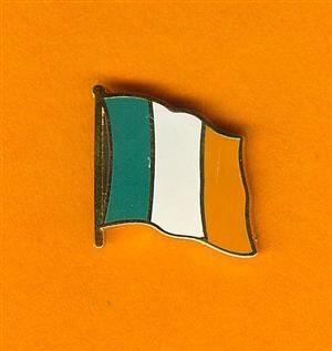 IRLAND IRELAND IRE Fahne Fahnen Flaggen Pin Pins