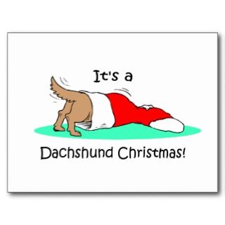 it s a dachshund christmas cute dachshund into a christmas stocking