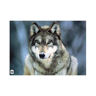 Animals Posters Grey Wolf   WWF Poster   61x86cm Küche