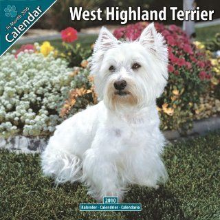 Kalender 2010 West Highland White Terrier   Westie: Bücher