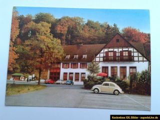 Alte Postkarte Waldhotel Wildgehege ca.10,5x15 cm