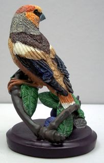 Kernbeisser   Vogel Skulptur Unsere schöne Vogelwelt Collection