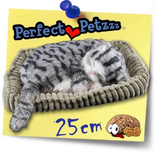 Perfect Petzzz atmende schlafende Katze Gray Tabby Soft lebensecht