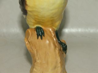 KPM Berlin Pirol Vogel / Bird / Oriole / Porzellan Figur / Figurine