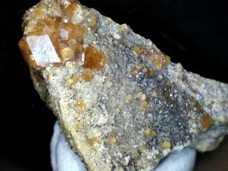 xx Granat, Piz Lunghu, Schweiz +++TOP+++ Mineralien Alpin Stufe 669