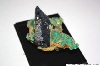TOP Azurite from Tsumeb Namibia   crystal size of 5cm (2inch) 
