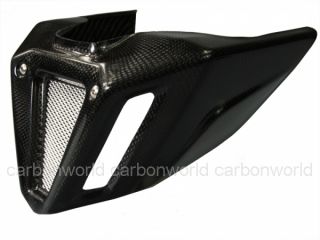 Spoiler carbon für Ducati Monster 696 796 1100