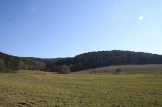 Grundstück Wohngrundstück kaufen in Wald Michelbach