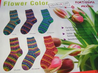 Schöller & Stahl Sockenwolle, Fortissima Mexiko, Flower Color