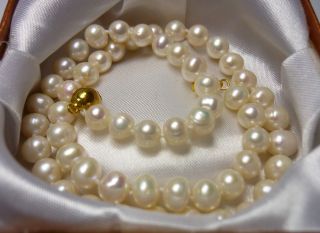 Akoya Perlenkette Kette 7 8mm Perlen + Ohrringe Set NEU