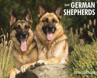 German Shepherds 2010 Calendar