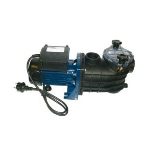 AQUALUX pompe de filtration 1/25CV 300W   Achat / Vente POMPE