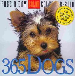 365 Dogs 2010 Calendar (Calendar Paperback)
