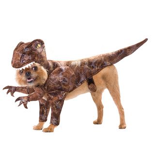 Animal Planet Red Raptor Dog Halloween Costume