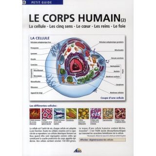 LE CORPS HUMAIN T.2   Achat / Vente livre Collectif pas cher