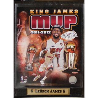 Miami Heat Lebron James Finals MVP Photo Plaque (9 x 12)