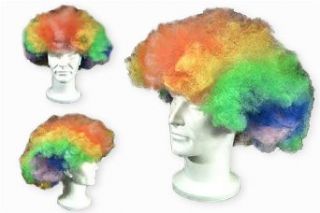 Rainbow Clown Wig: Clothing