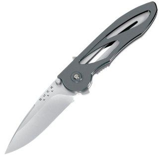 Buck 295DP Tempest, Assisted Opening, Liner Lock Folding
