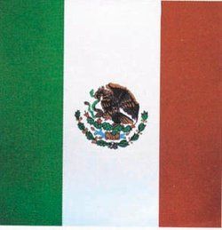 Mexican Flag Bandana Clothing