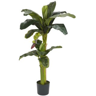 Silk 5 foot Potted Banana Tree Today: $82.99 5.0 (1 reviews)