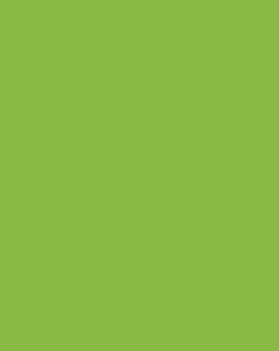 Formica Sheet Laminate 4x8   Vibrant Green  
