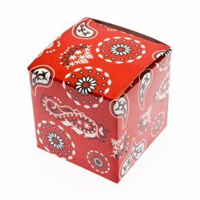 Red Bandana Favor Boxes Toys & Games