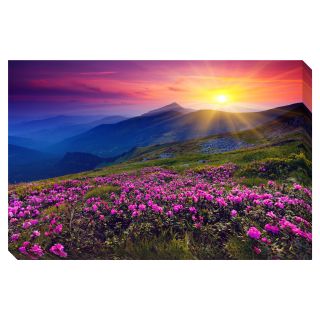 Mountain Landscape Oversized Gallery Wrapped Canvas Today: $142.49