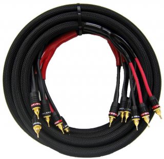 Monster Z2 Biwire 10 foot Speaker Cable Pair