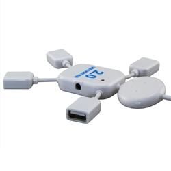 Mini DisplayPort Extension Cable/ 4 port USB Hub