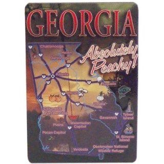 381235   Georgia Magnet 3D Map Case Pack 96: Sports