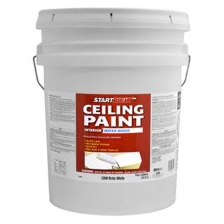 True Value Mfg Company CBW 5GL SR 5GAL WHT Ceil Paint