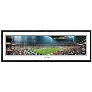 Everlasting Images Houston Texans Reliant Stadium Framed