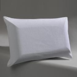 Beautyrest Charcoal Odor Control Memory Foam Pillow