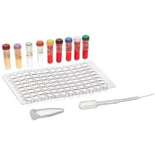 Edvotek 140 EDVA7 Blood Typing Kit for 10 Lab Groups 